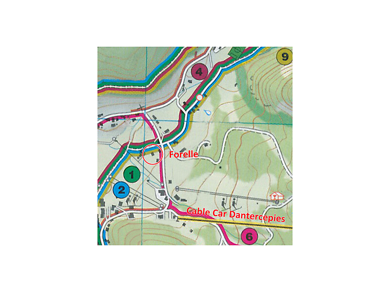 5 MTB tracks just below the house and other 4 connectted in the nearness