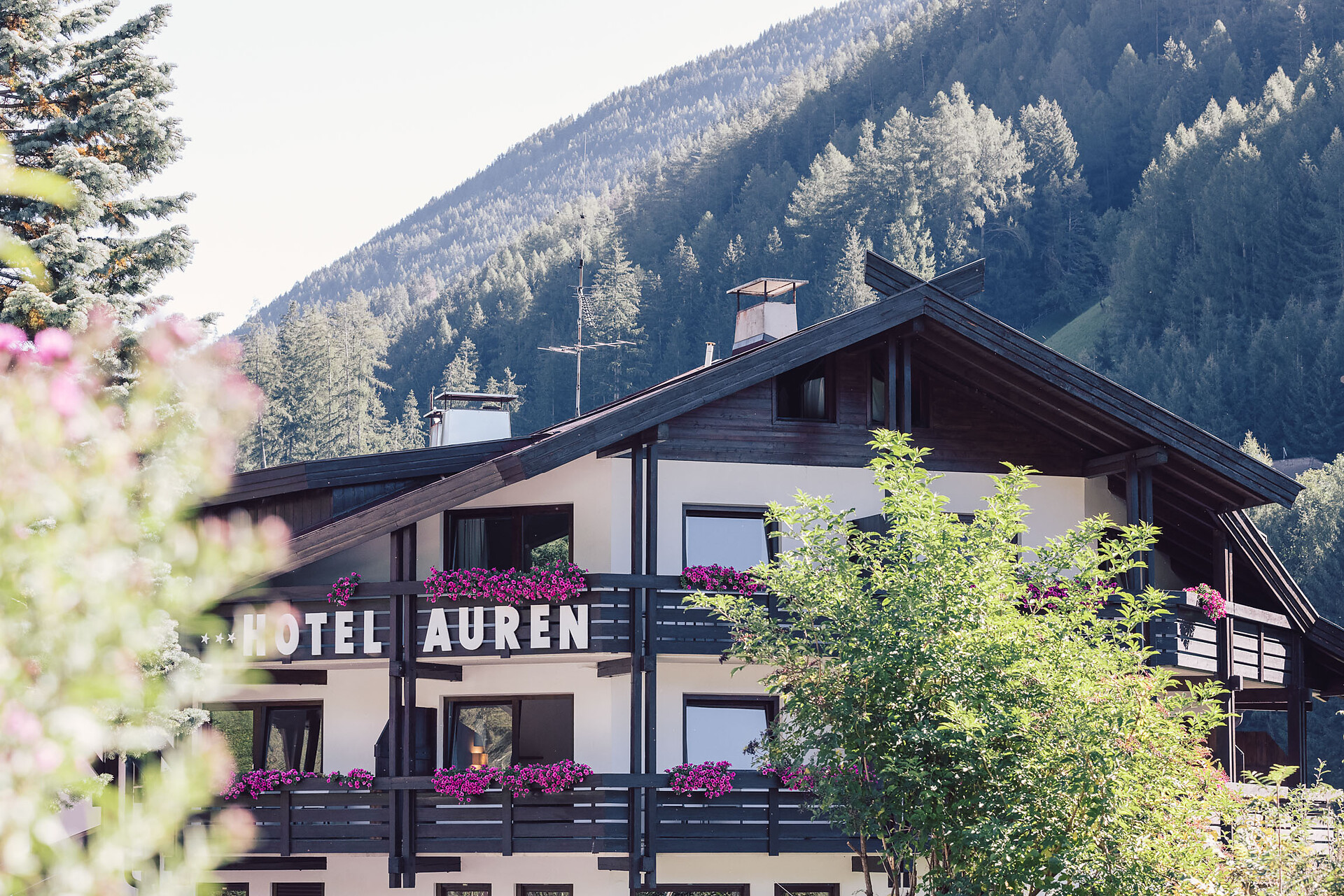 Auren Hotel - Ahrntal - #13 - suedtirol.info