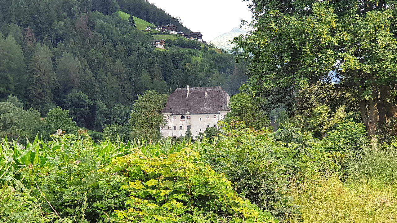 Slide 21