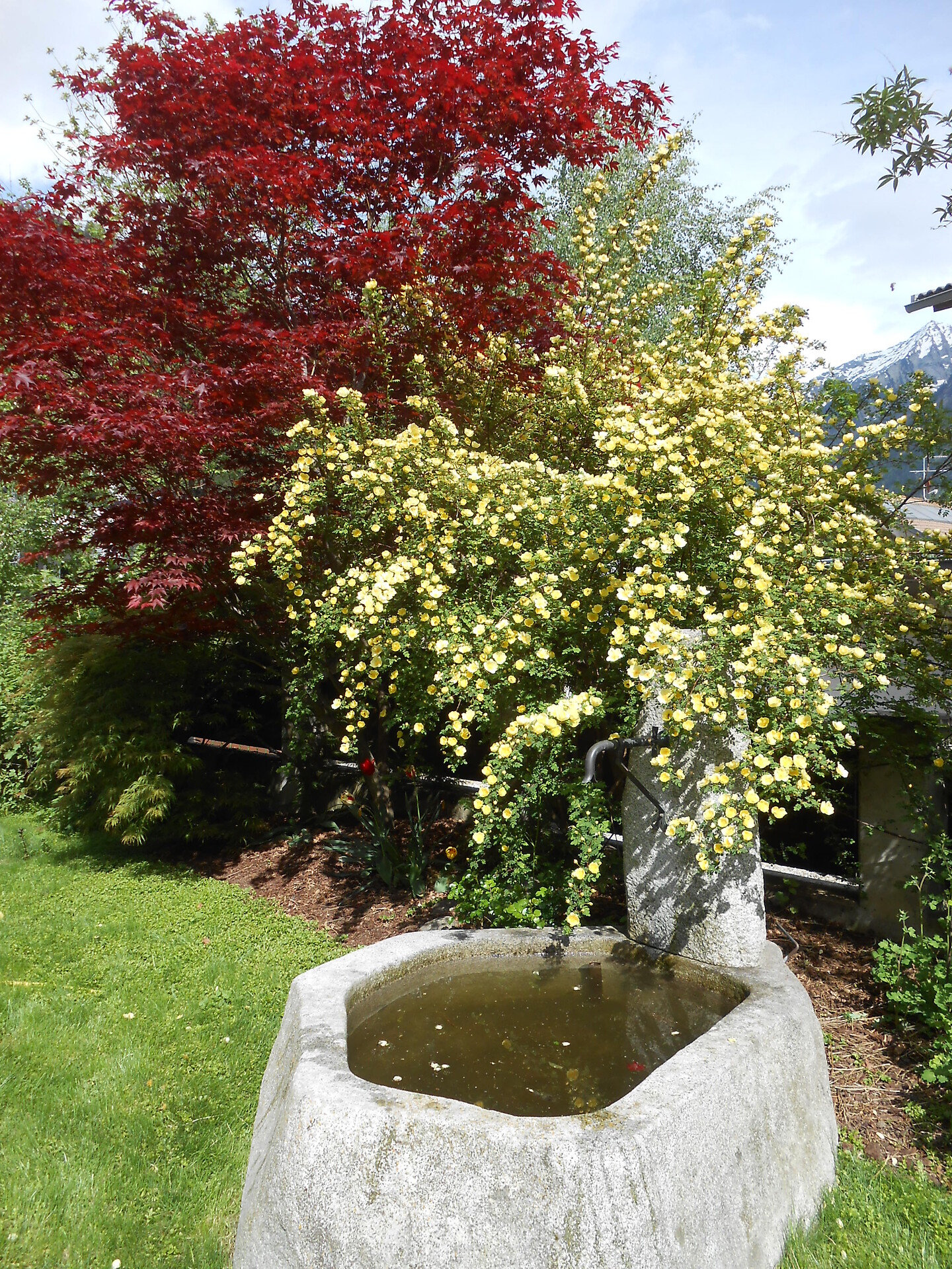 Appartement Duregger - Valle Aurina - #14 - suedtirol.info