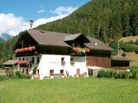 App. Loderhof Sand in Taufers/Campo Tures 1 suedtirol.info