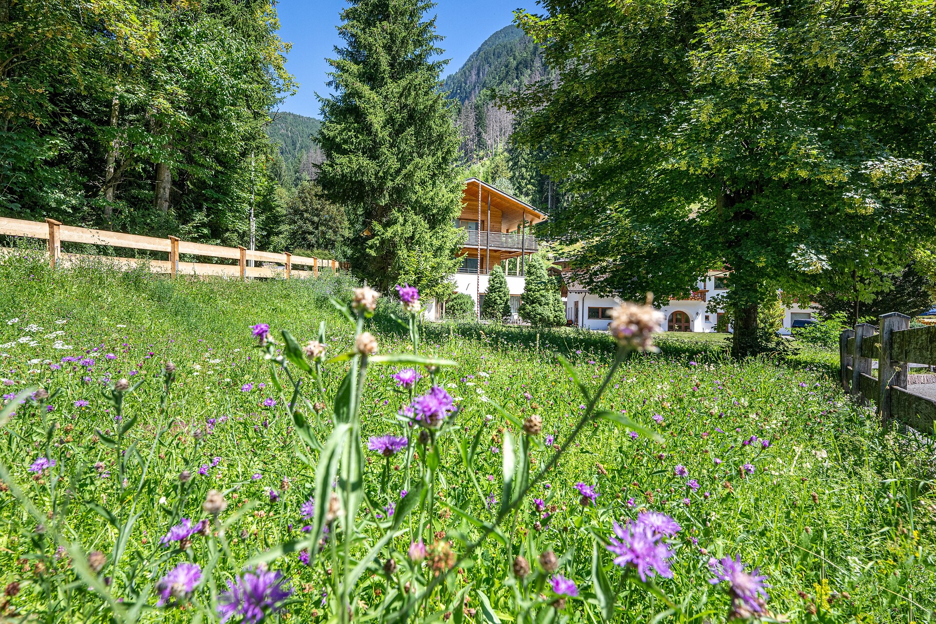 Apartments Villa Jim Ortisei Val Gardena Dolomites
