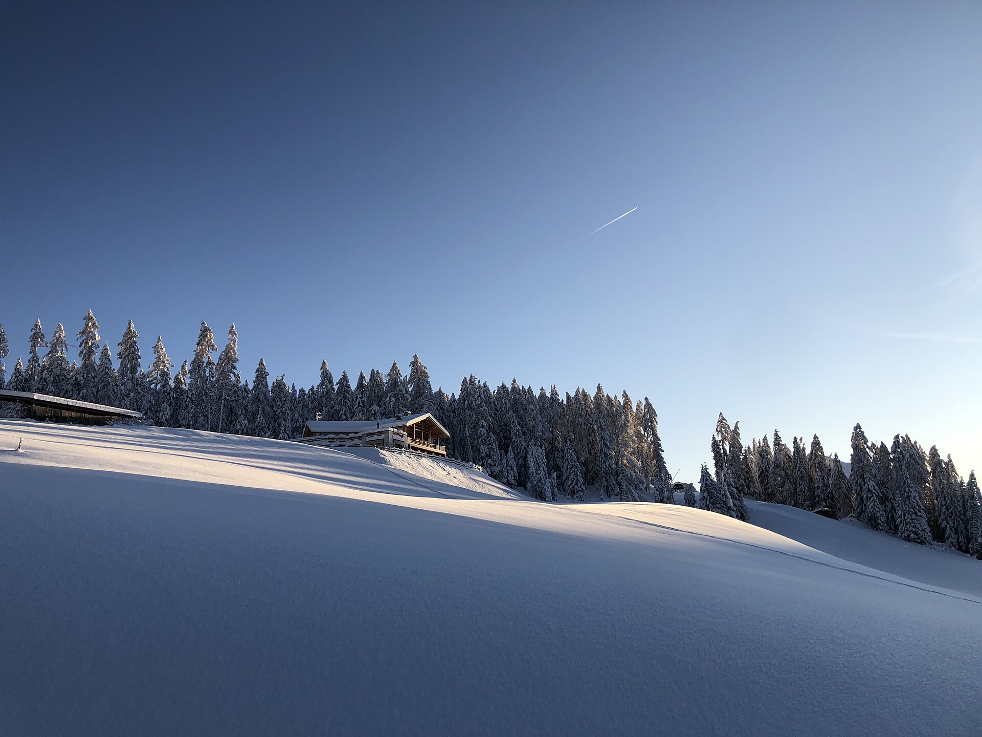 Alpinus