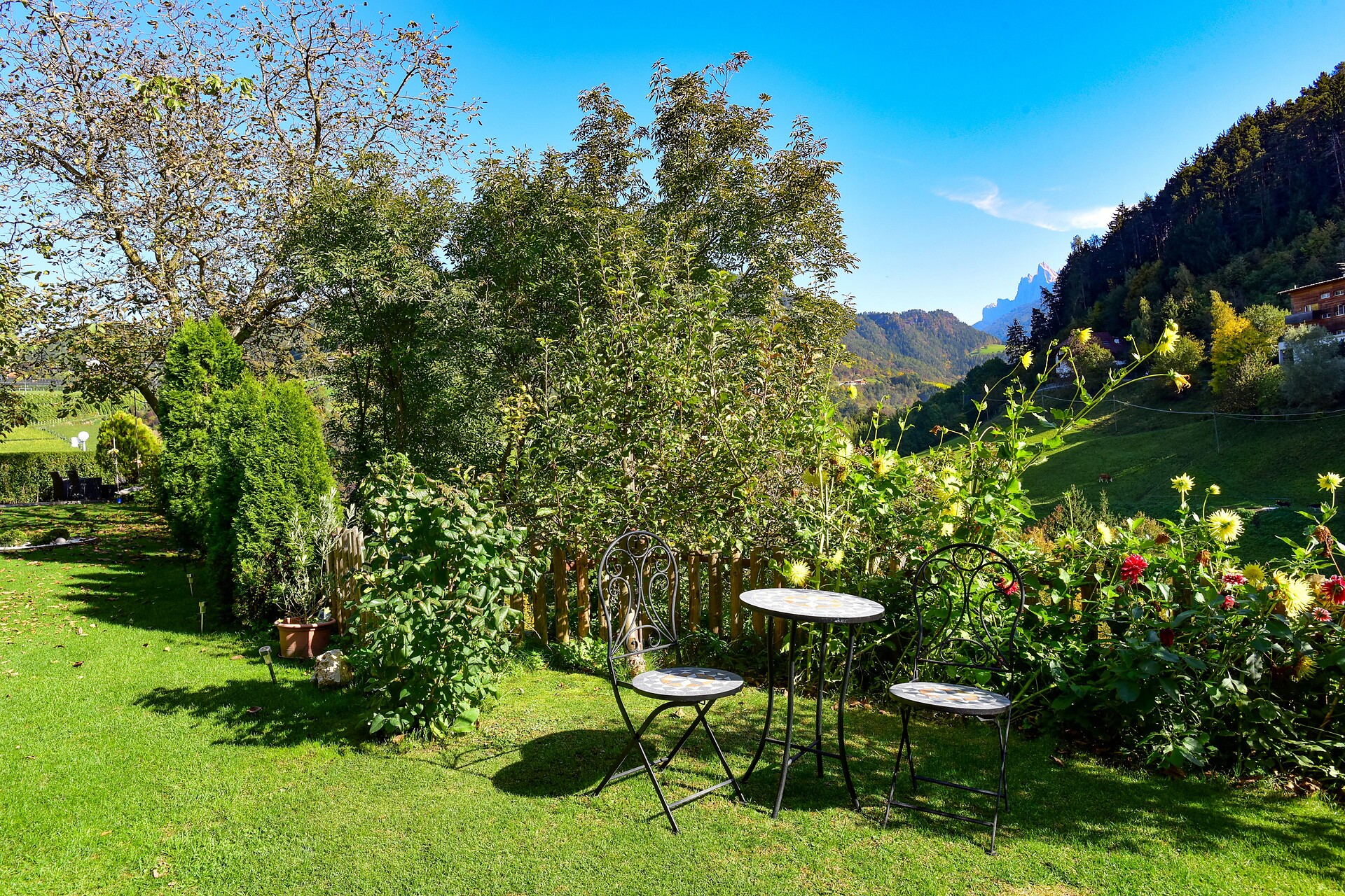 garden