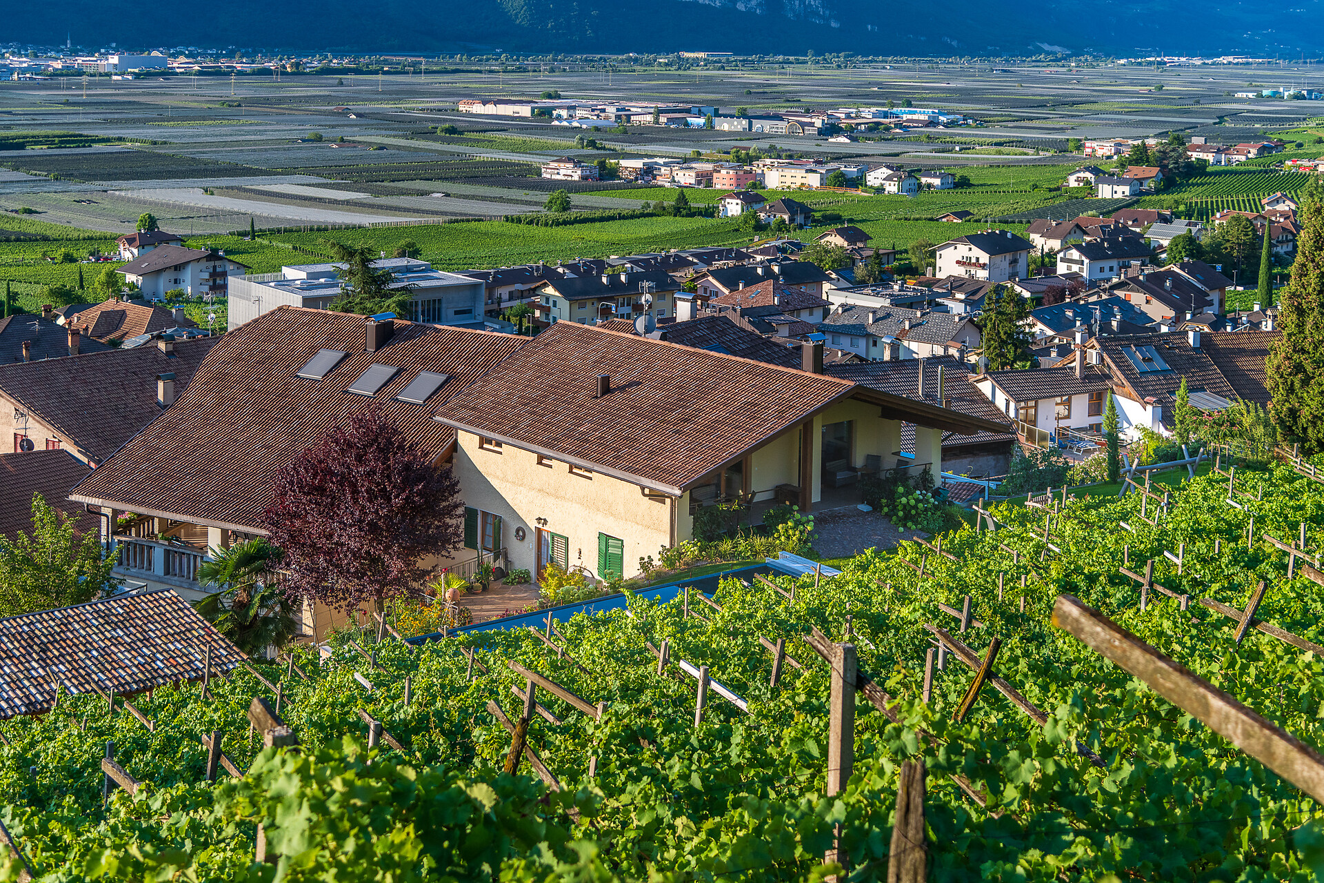 Ansitz Eggenheim - Südtiroler Weinstraße - #8 - suedtirol.info