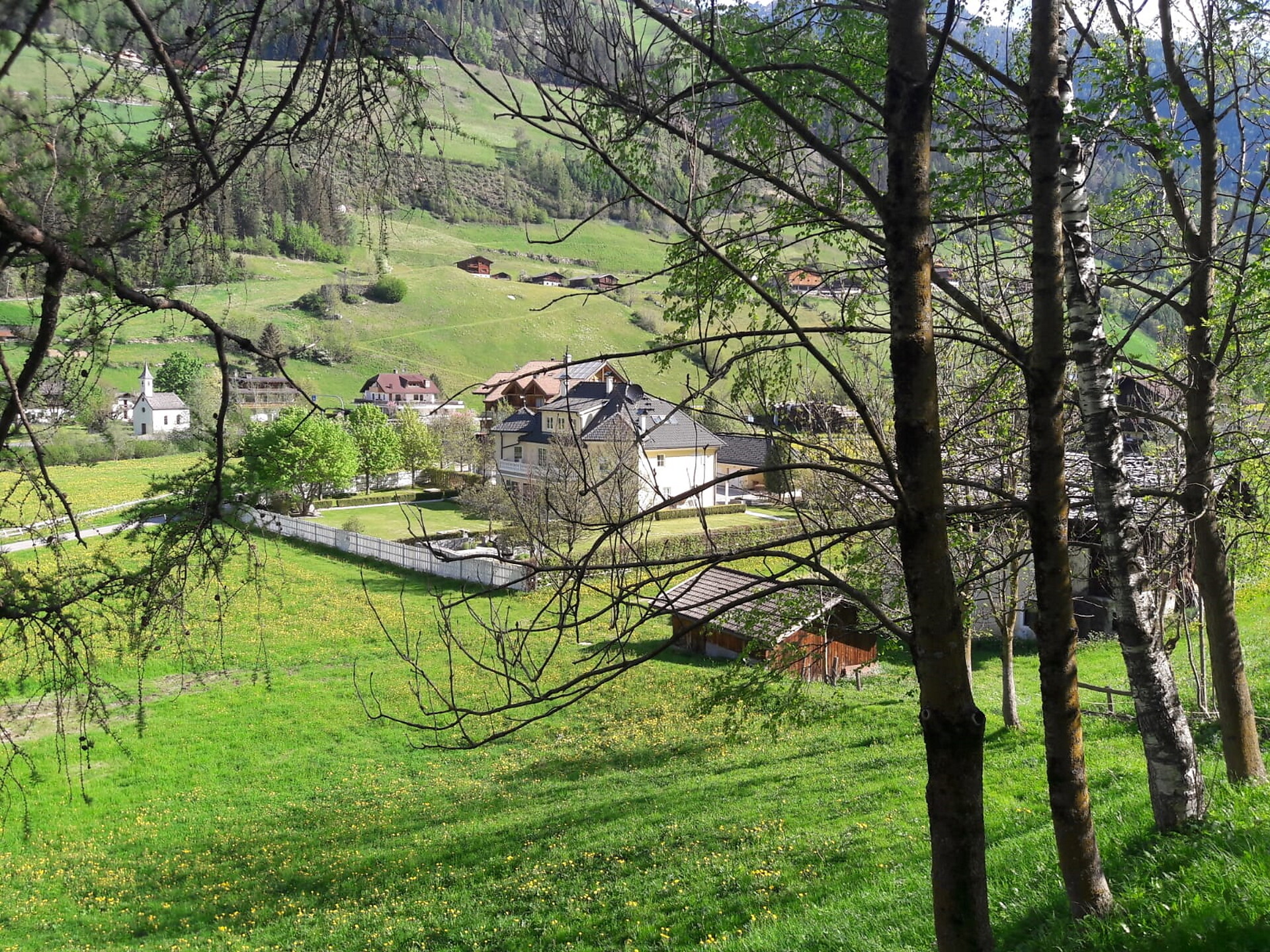 Alpenliving