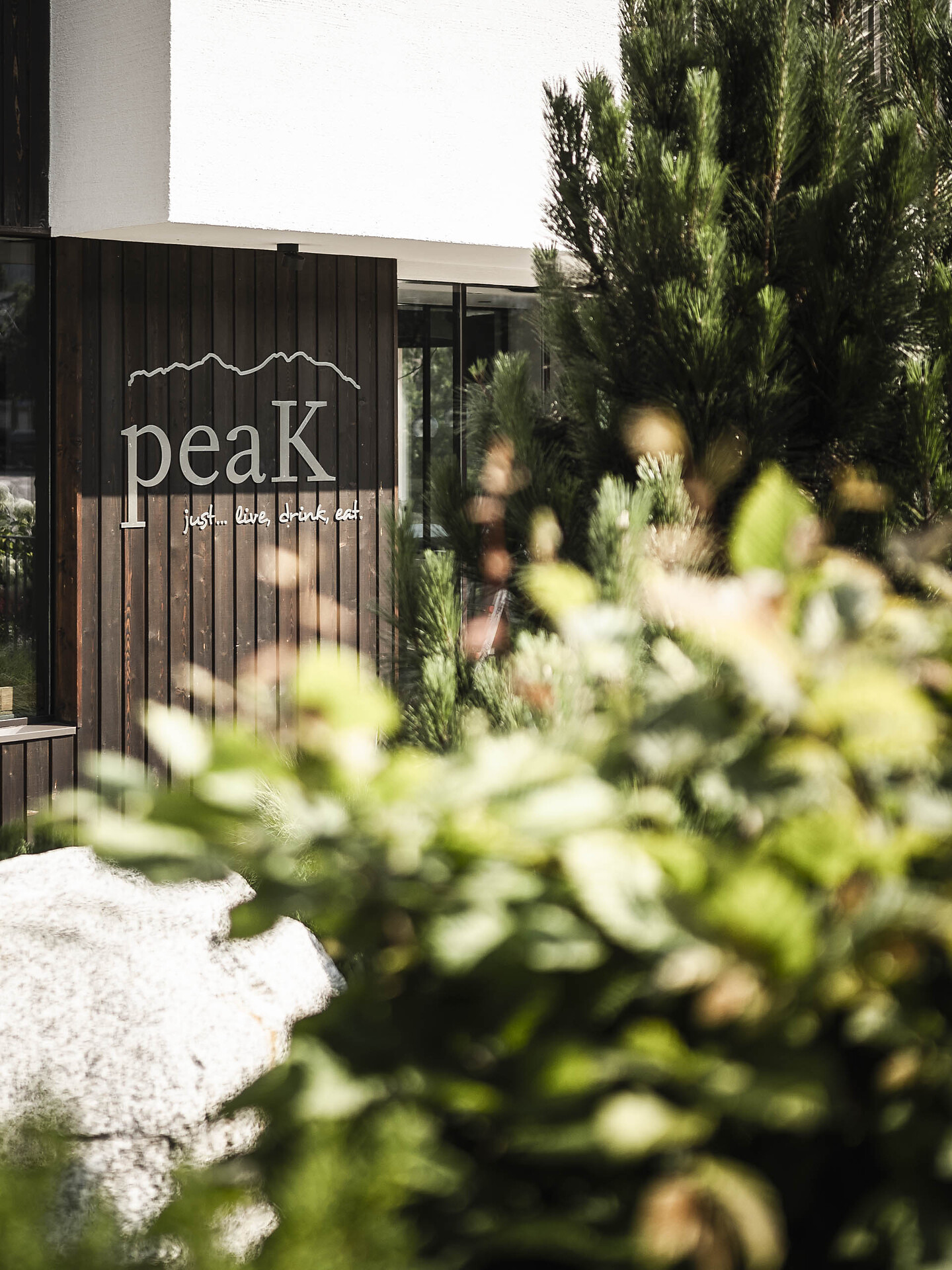 livingroom peak Bar