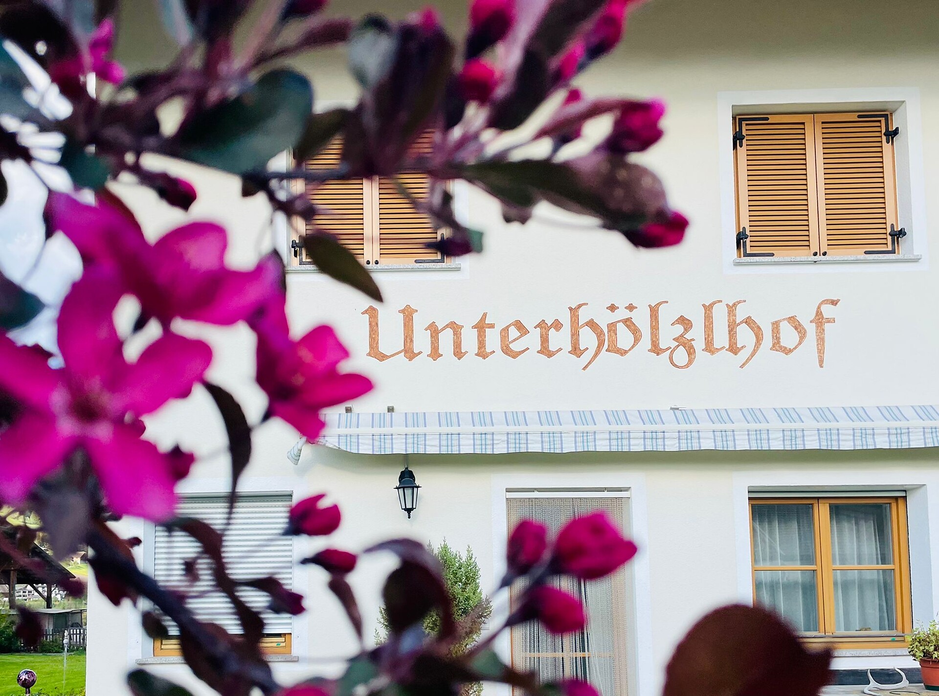 Unterhölzl