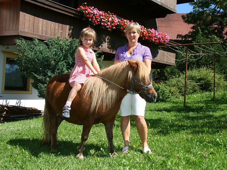 Pony Fany