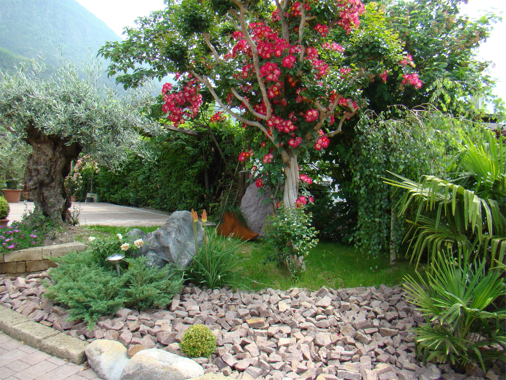 Appartment Garni Obermaratscher Algund 14 suedtirol.info