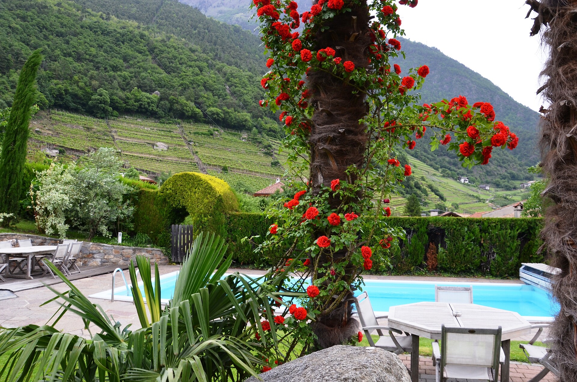 Giardino con piscina