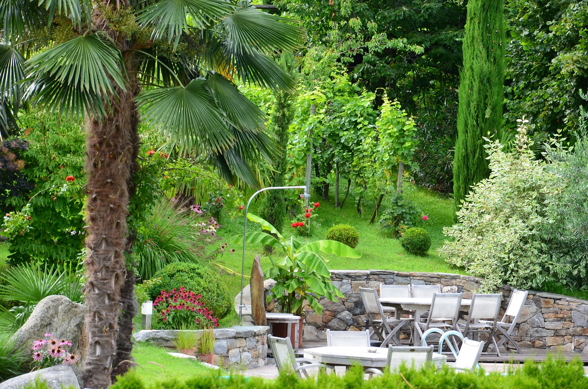 nel giardino sotto le palme