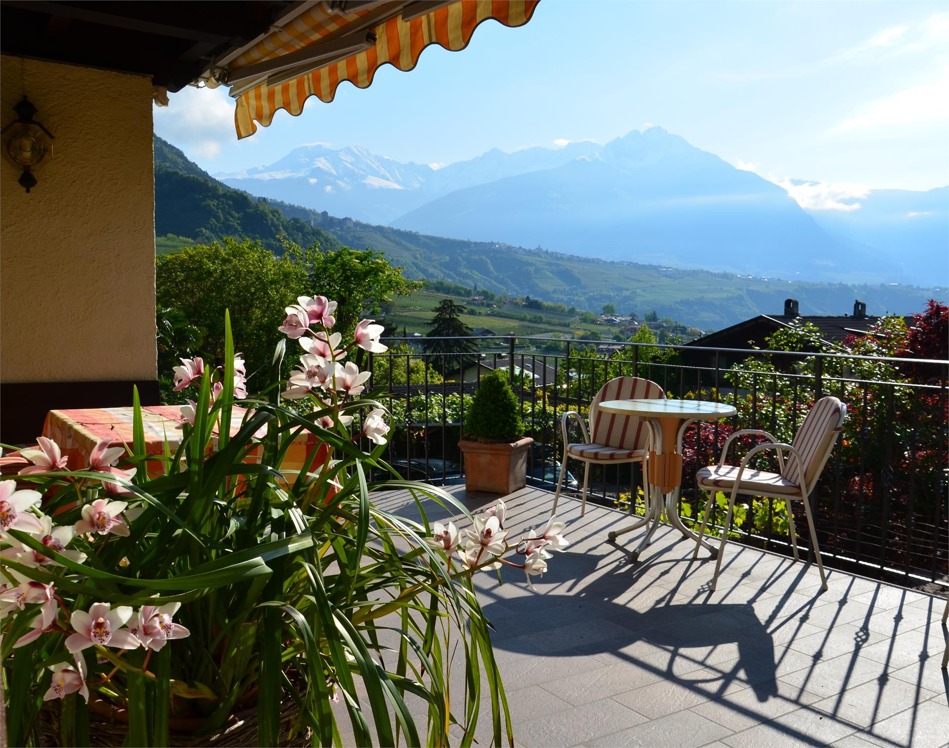 Appartment Garni Obermaratscher Algund 2 suedtirol.info