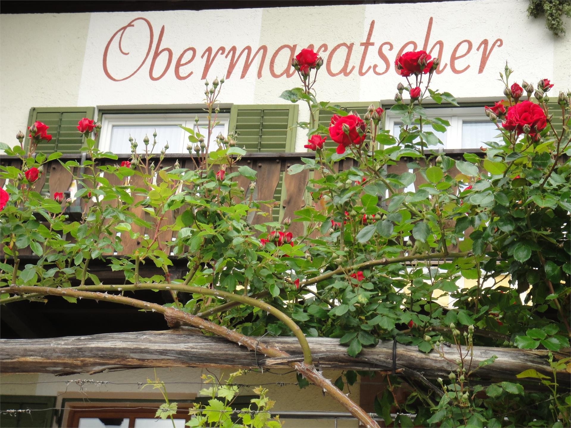 Appartment Garni Obermaratscher Algund 4 suedtirol.info