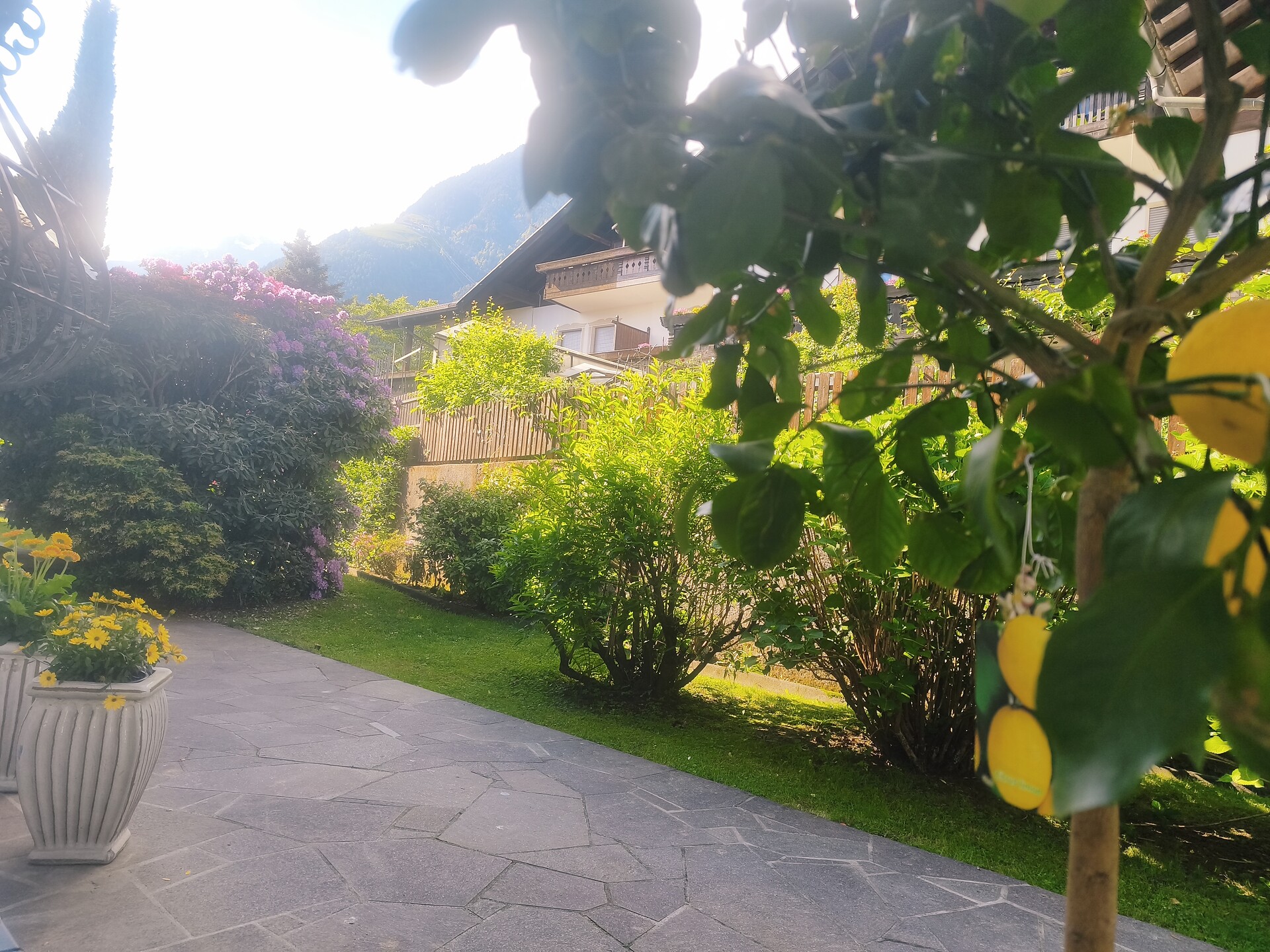Appartements Villa Fortuna - Meran und Umgebung - #12 - suedtirol.info