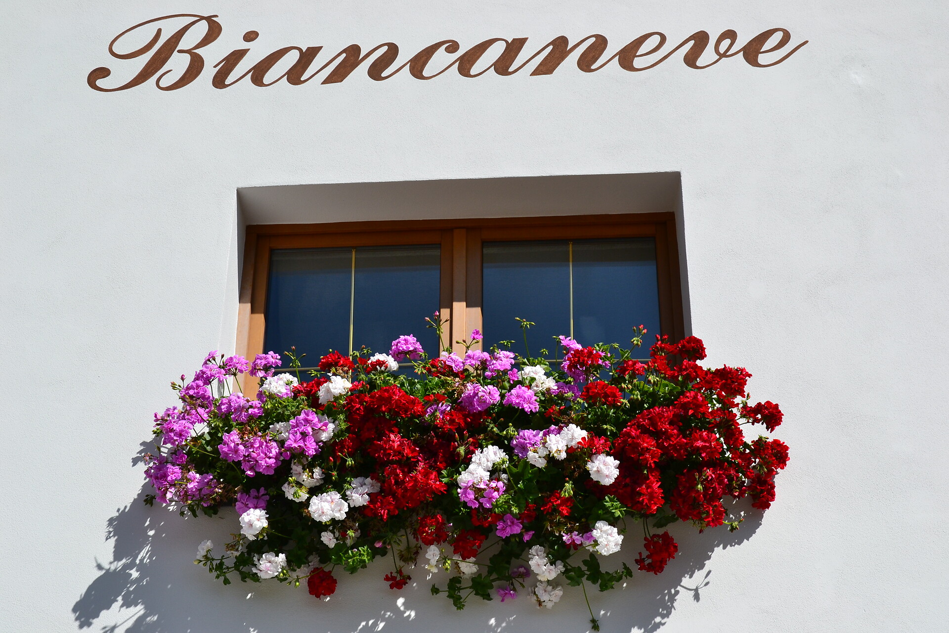 Biancaneve