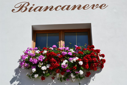 App. Biancaneve Badia 17 suedtirol.info