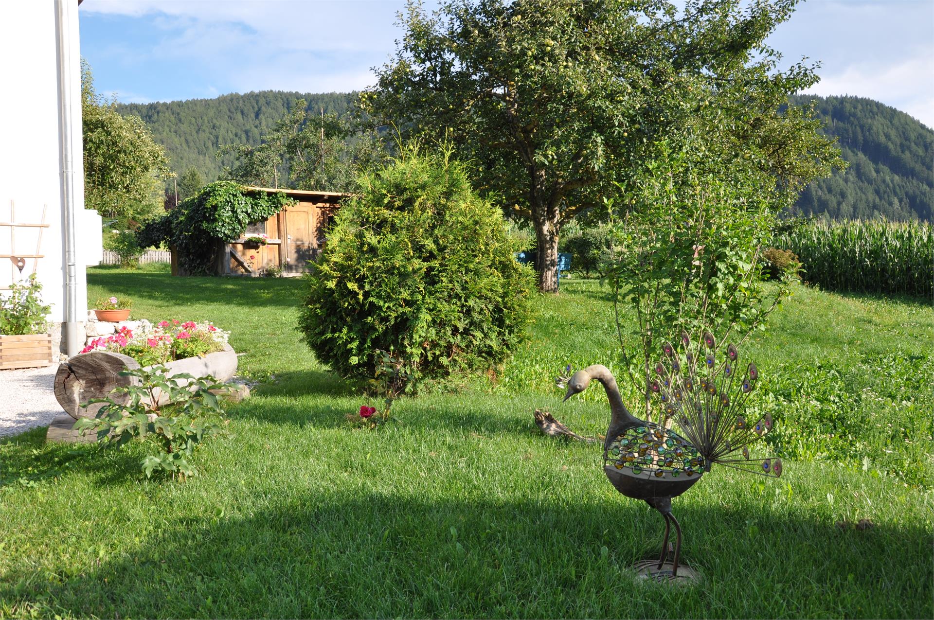 Appartements Wiesenheim Rasun Anterselva 11 suedtirol.info