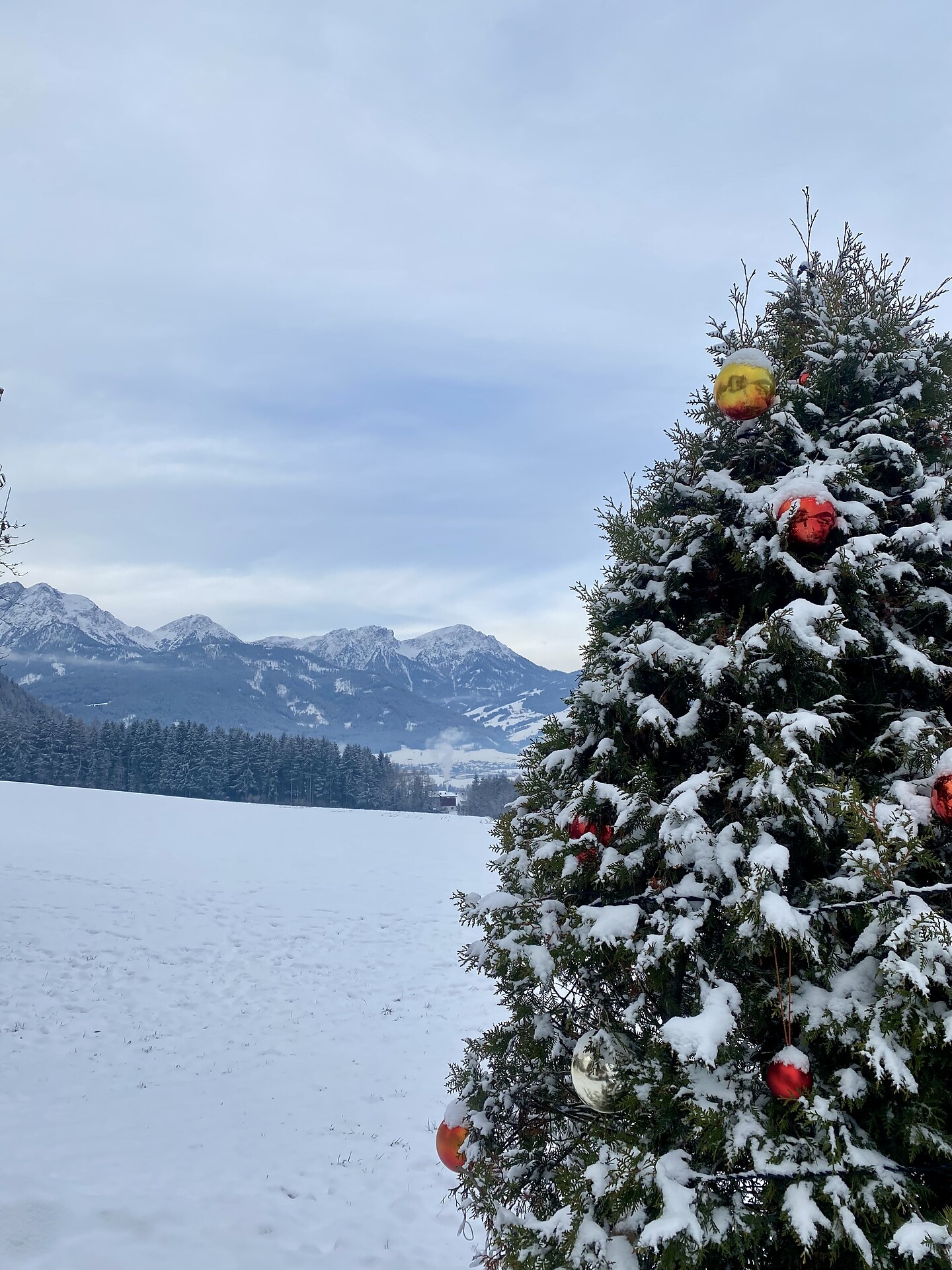 Appartements Wiesenheim Rasun Anterselva 17 suedtirol.info