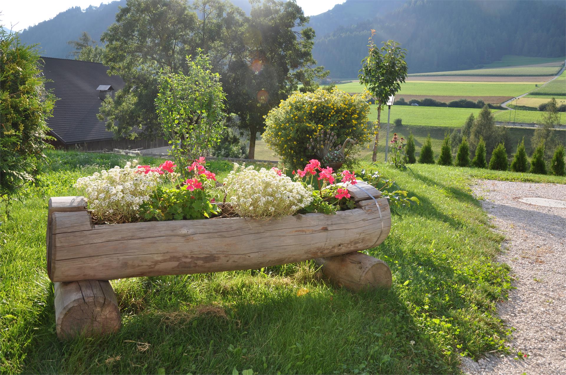 Appartements Wiesenheim Rasun Anterselva 10 suedtirol.info