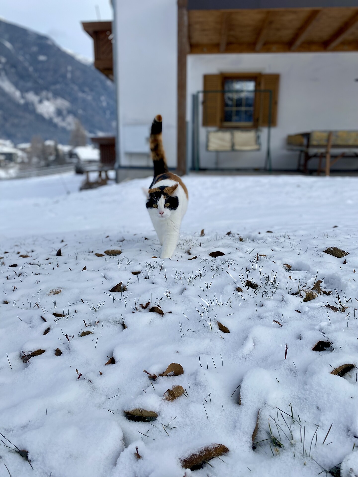 Appartements Wiesenheim Rasun Anterselva 15 suedtirol.info