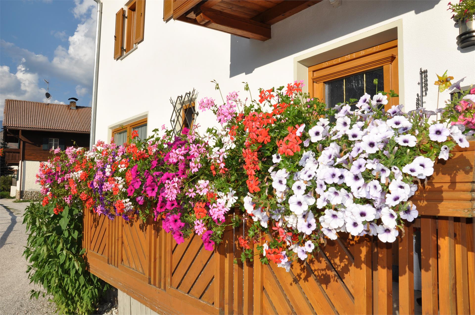 Appartements Wiesenheim Rasun Anterselva 9 suedtirol.info