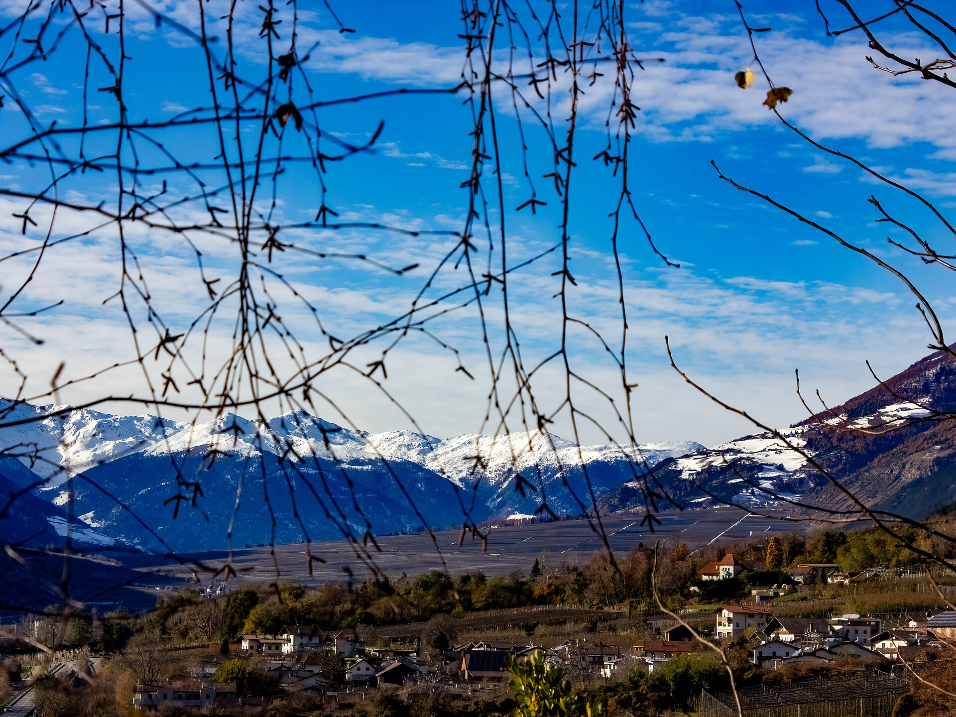 Tal Blick