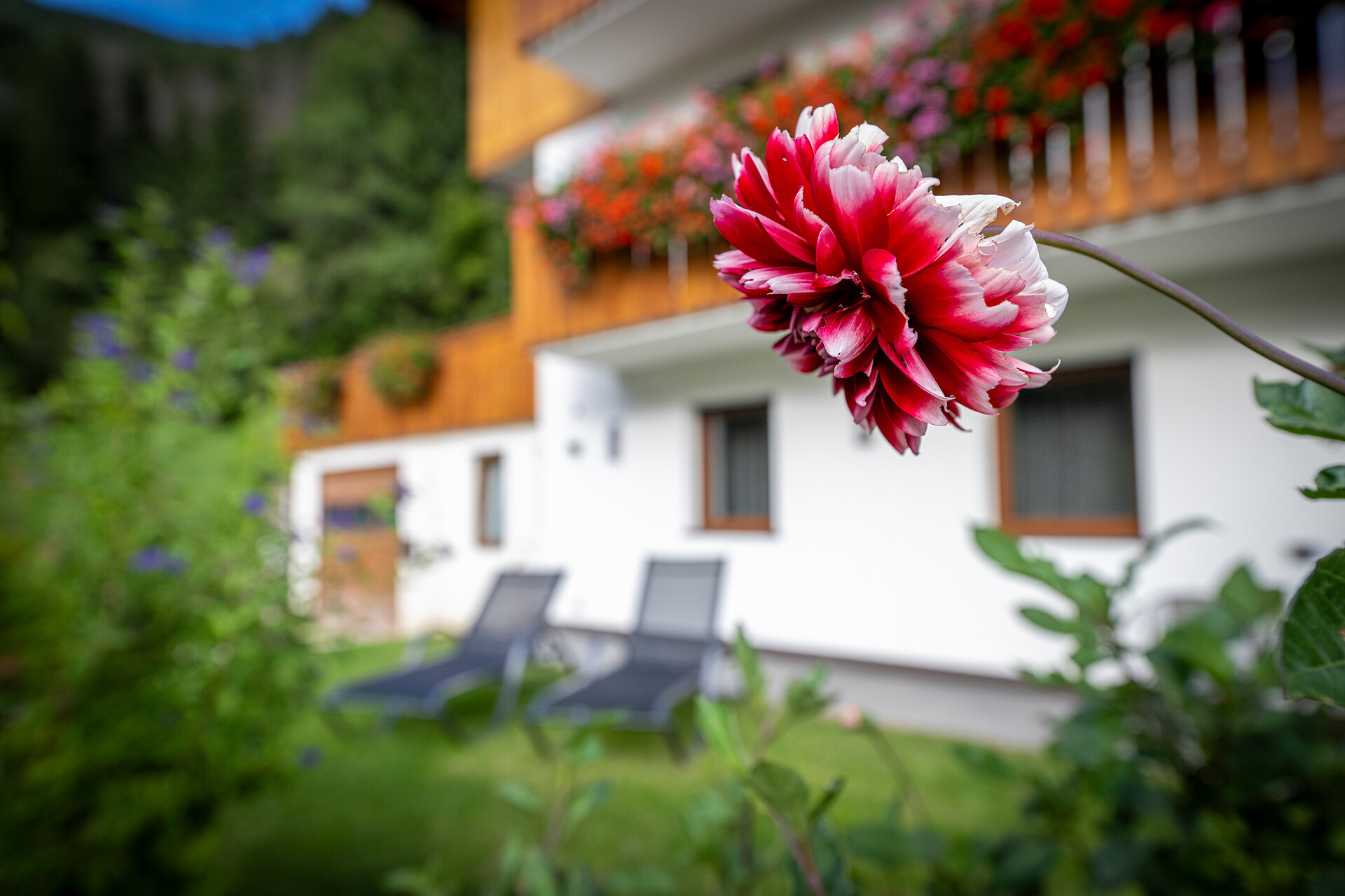 Apartments Raffl by MUSE.holiday