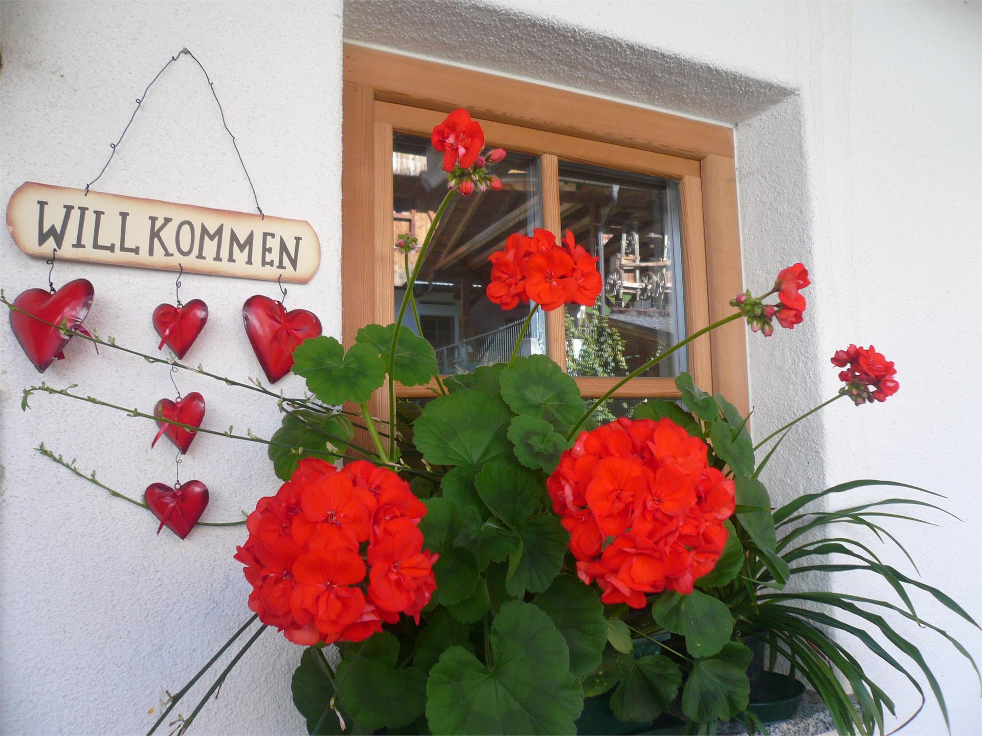 Appartements Kaimblhof Mühlwald/Selva dei Molini 8 suedtirol.info