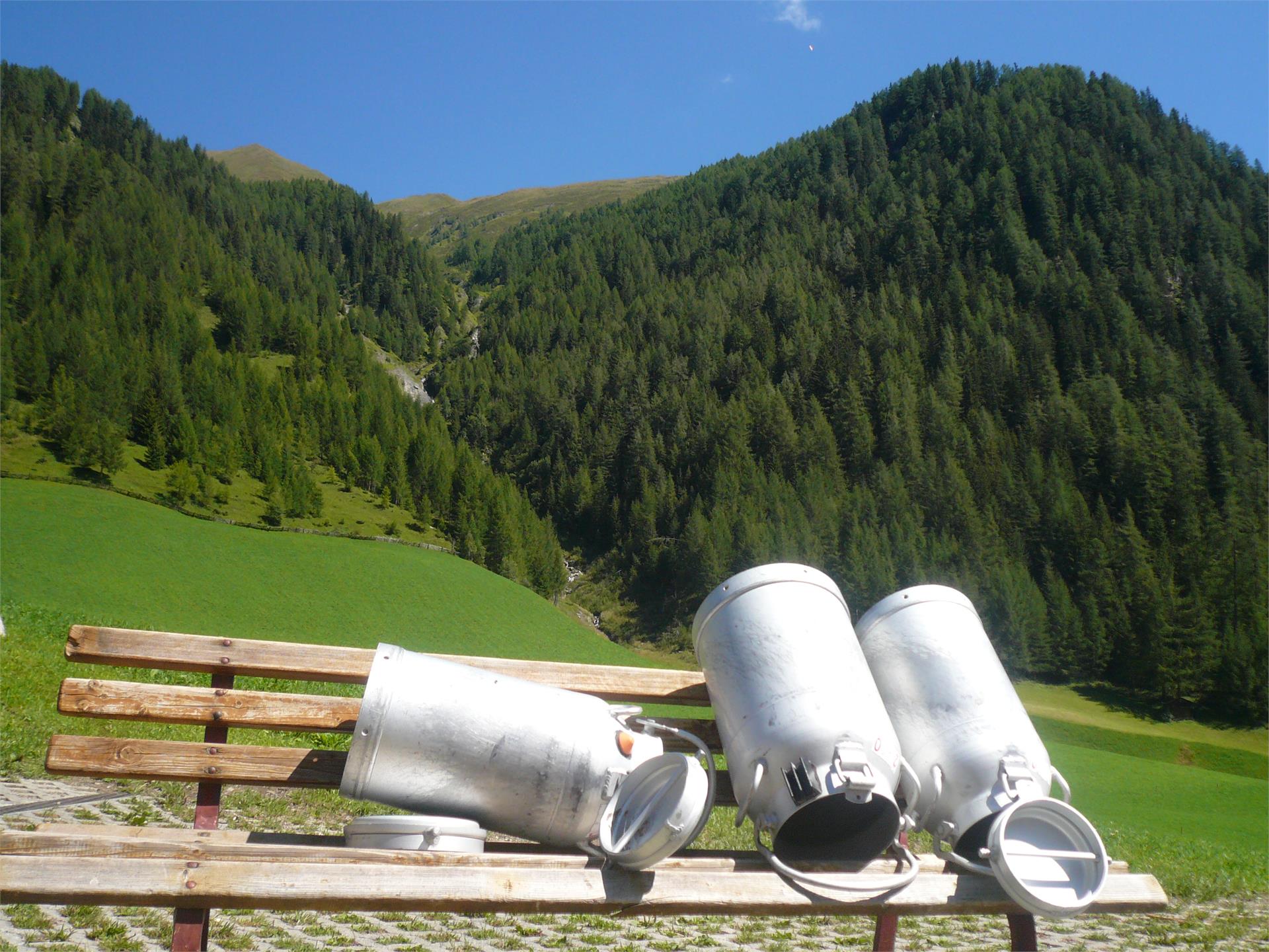 Appartements Kaimblhof Mühlwald/Selva dei Molini 14 suedtirol.info
