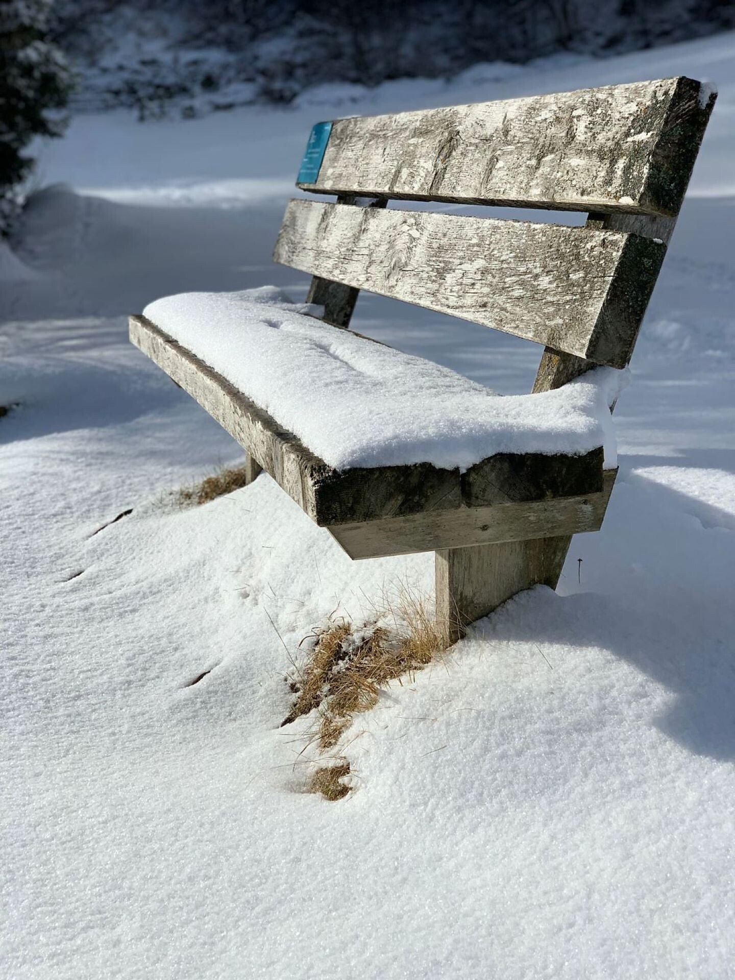 Winterbank