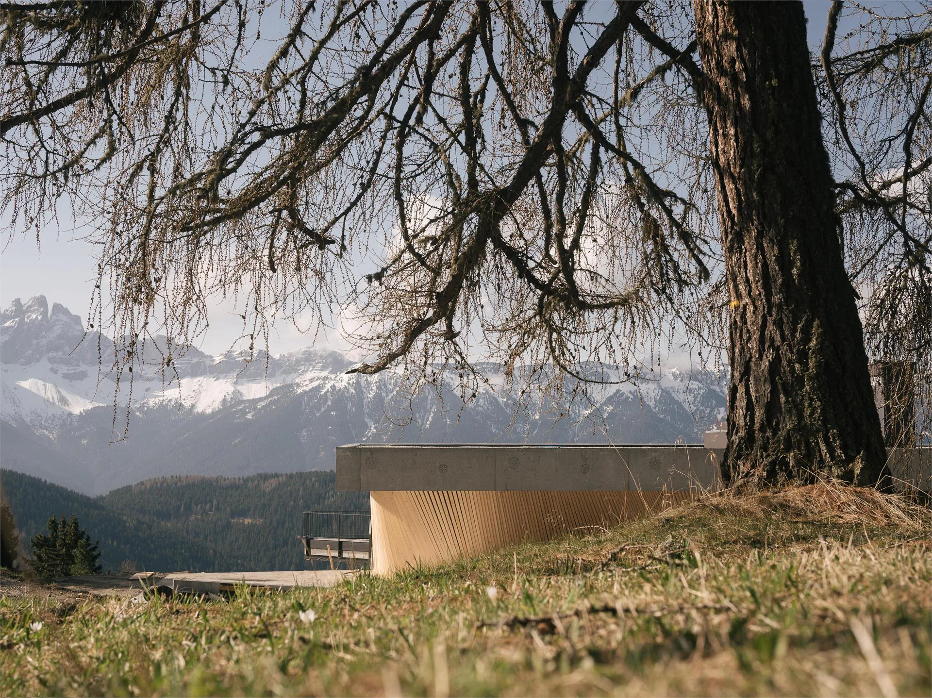 Anders Mountain Suites Bressanone 1 suedtirol.info