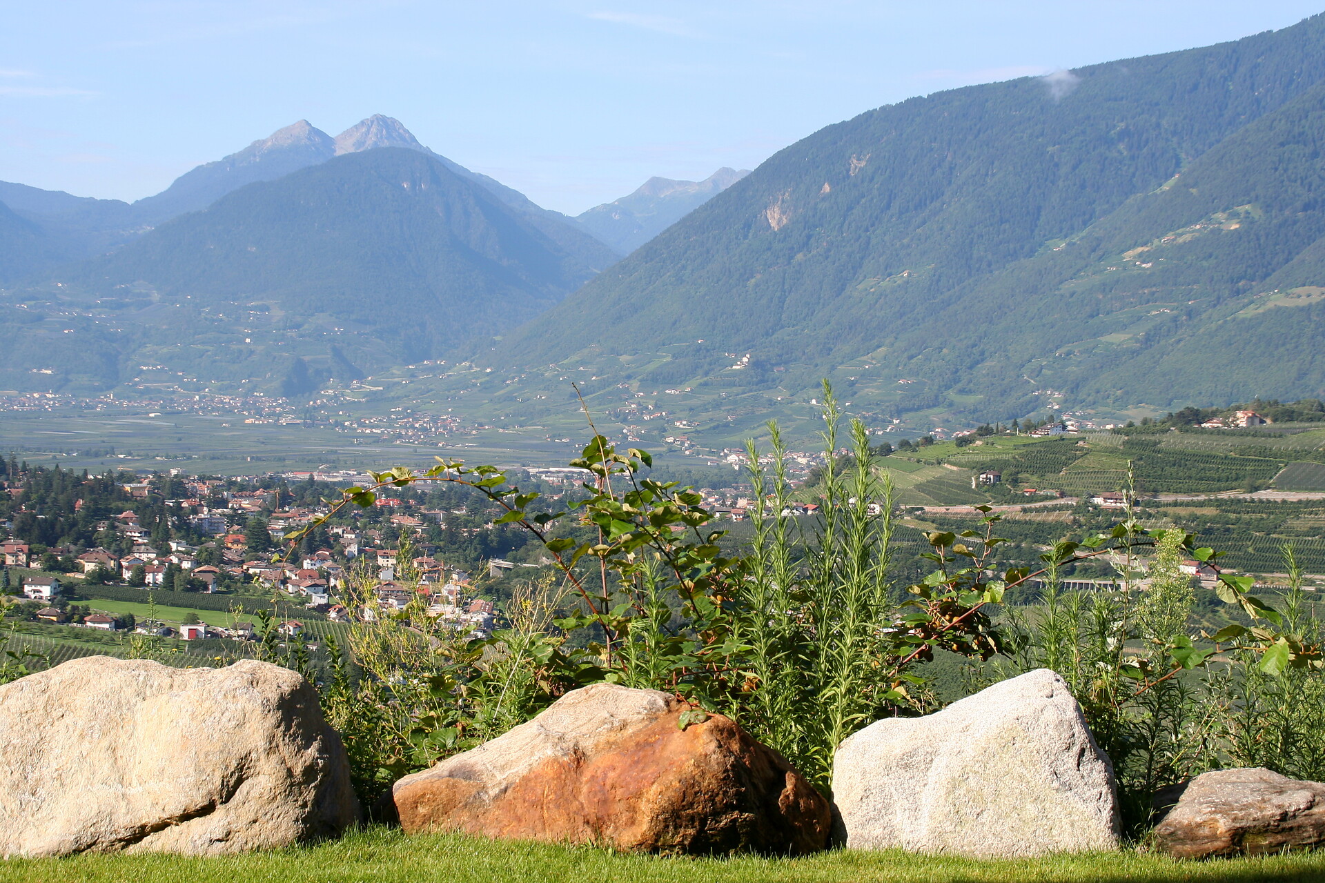 Ausblick
