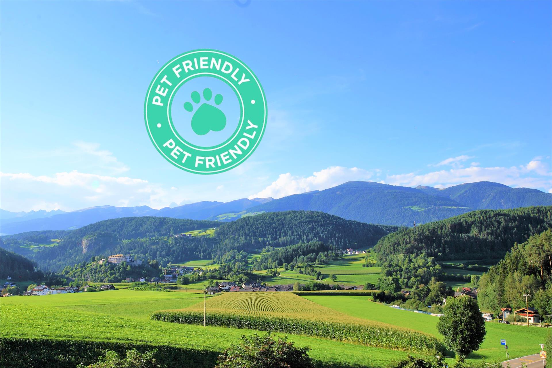 App. Tirol St.Lorenzen/San Lorenzo di Sebato 5 suedtirol.info