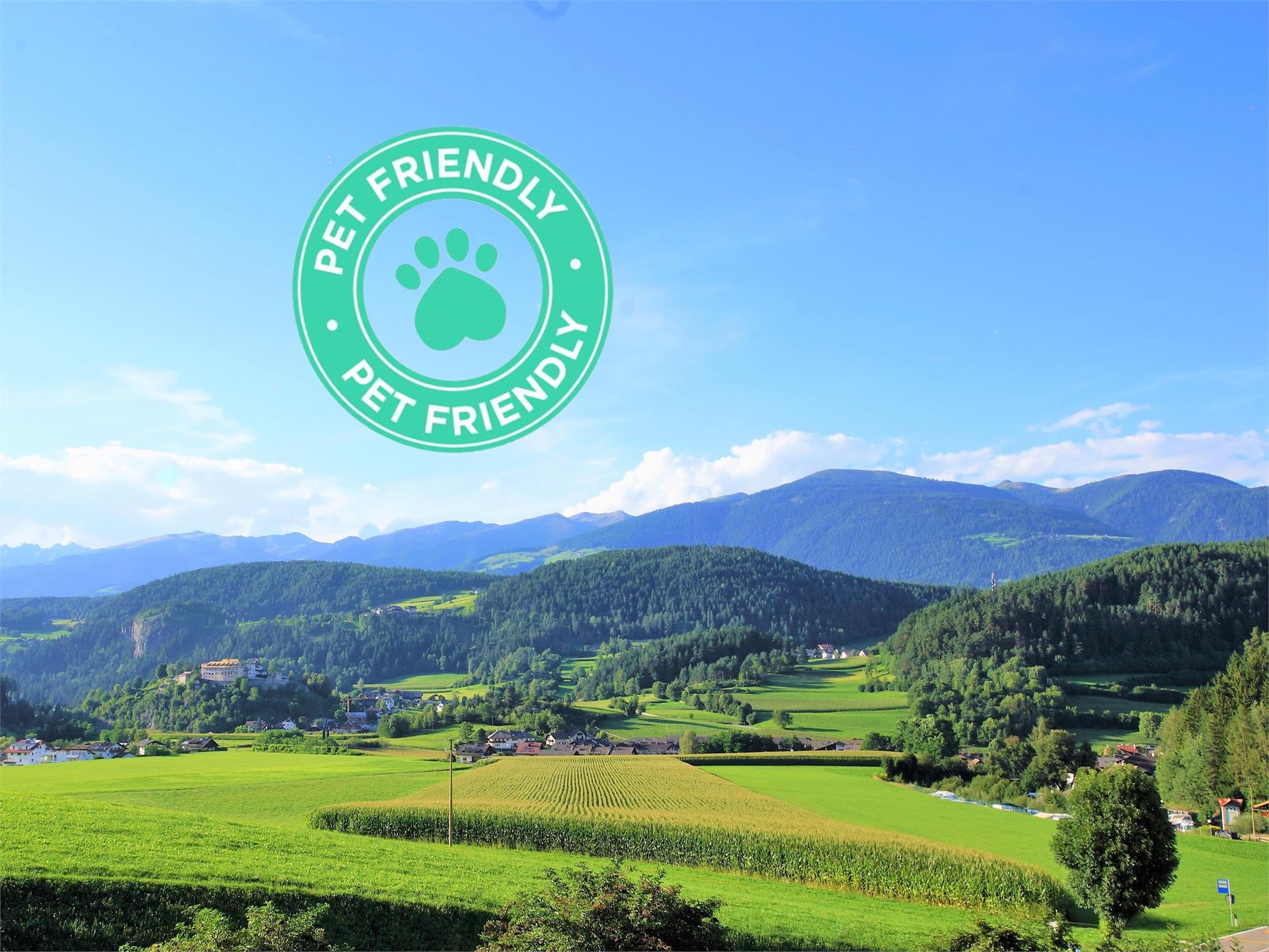 App. Tirol St.Lorenzen/San Lorenzo di Sebato 1 suedtirol.info