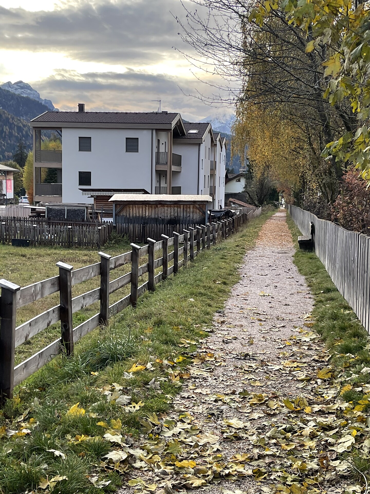Dolomia Apartment