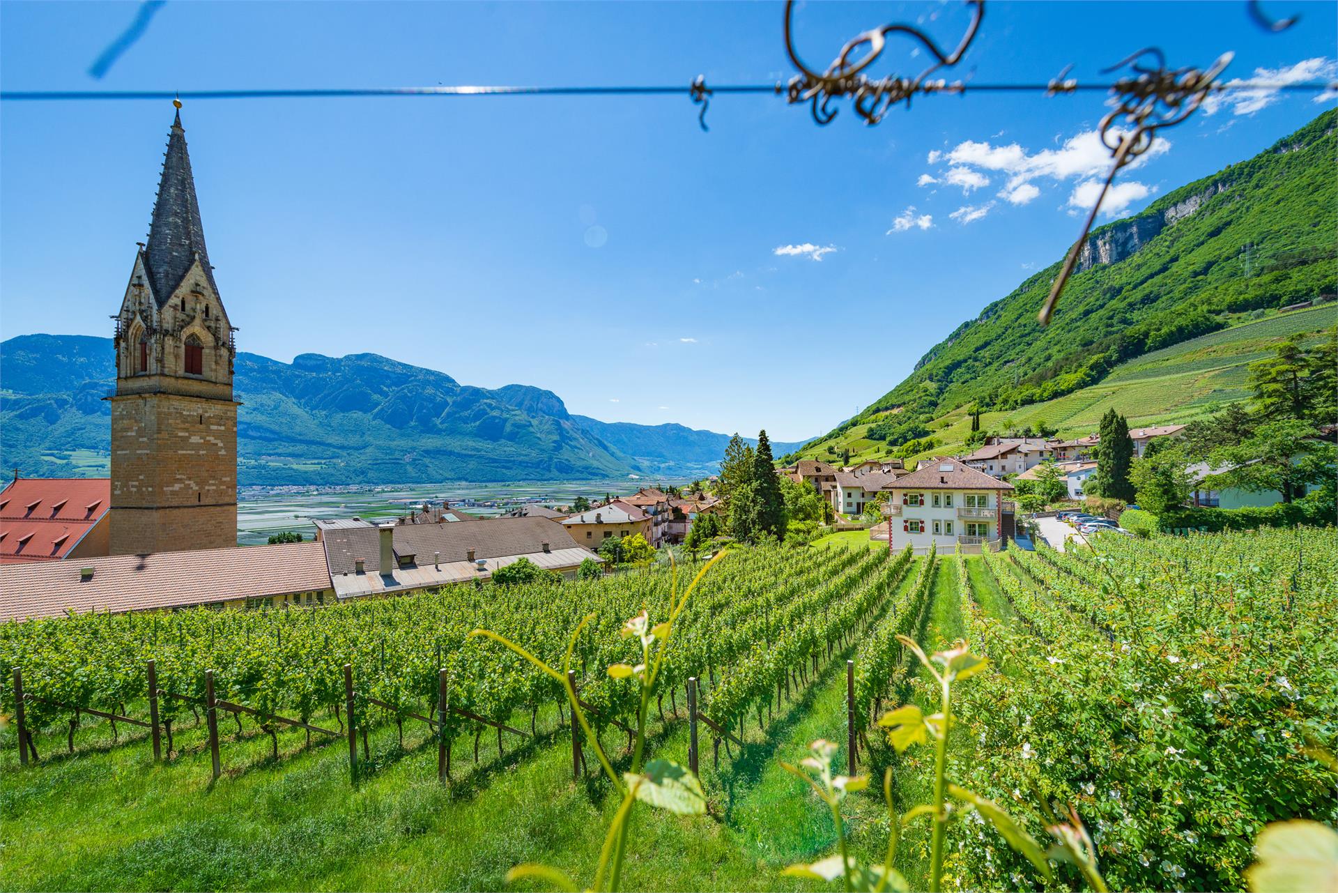 Ansitz Überbacherhof Tramin an der Weinstraße/Termeno sulla Strada del Vino 9 suedtirol.info