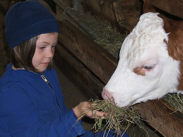 Tiere am Hof