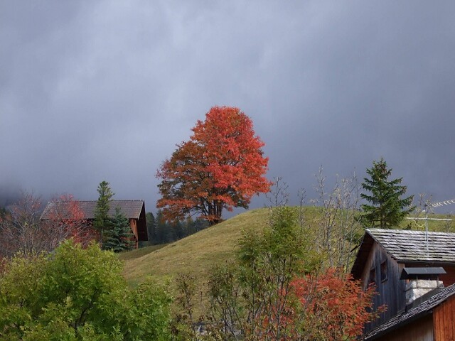 Farben der Natur