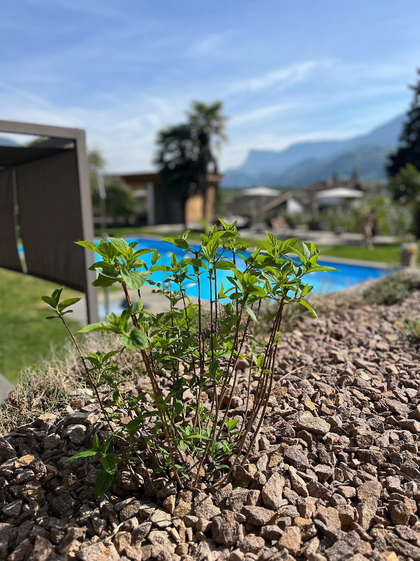 Apartment Florian Torggler - Merano e dintorni - #19 - suedtirol.info