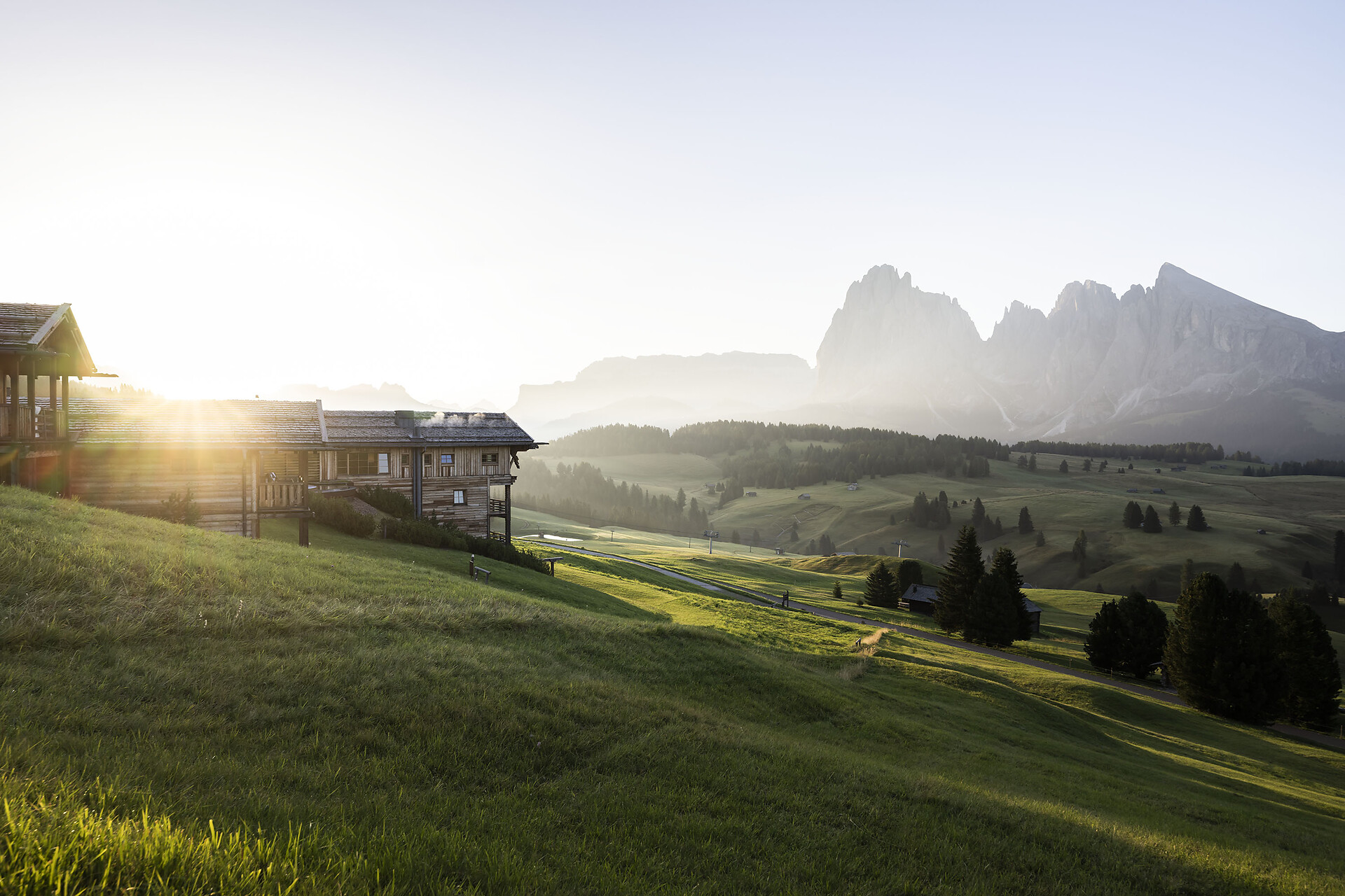ADLER Alpe - Regione dolomitica Alpe di Siusi - #17 - suedtirol.info