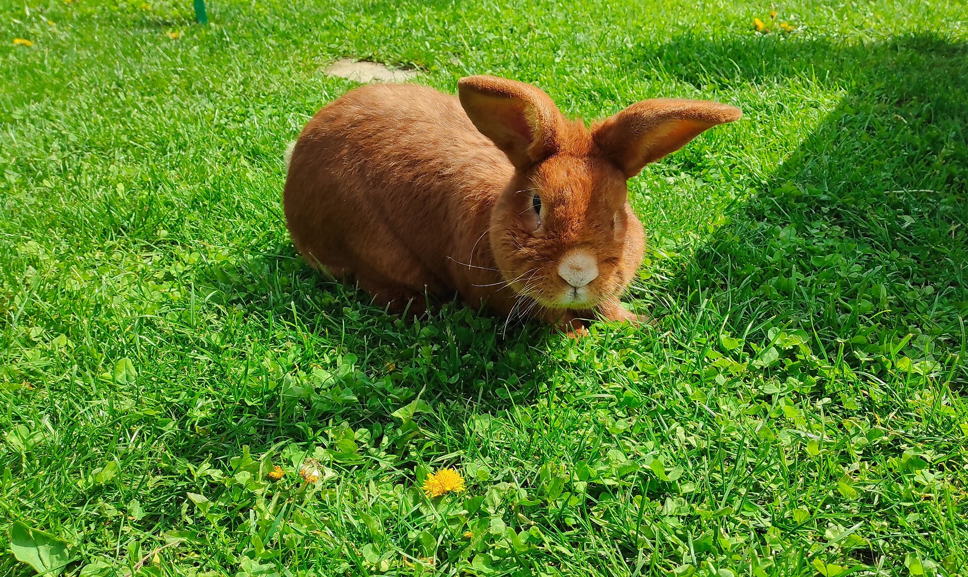 Angerblick