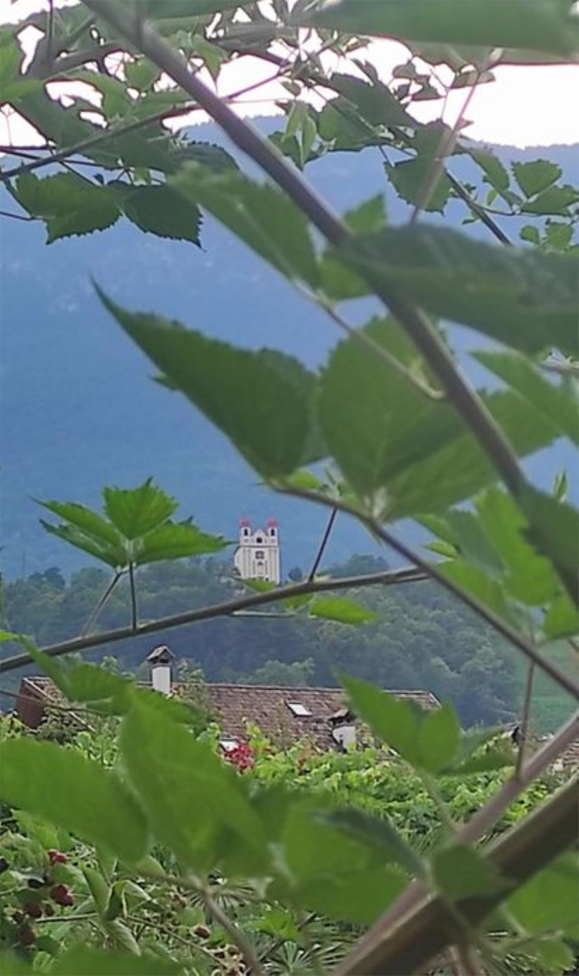 Sparer Stefan Eppan an der Weinstaße/Appiano sulla Strada del Vino 23 suedtirol.info