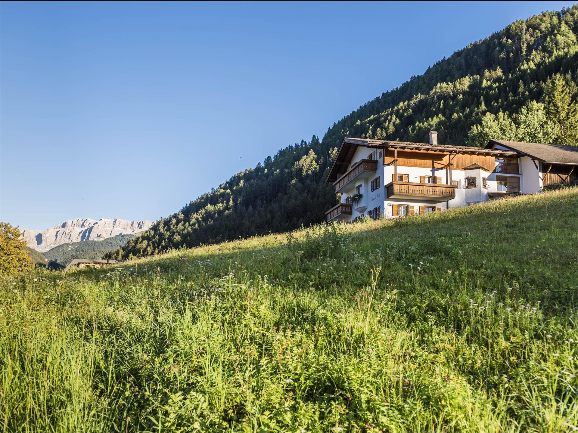 Apartments Am Rainellhof St.Ulrich 1 suedtirol.info