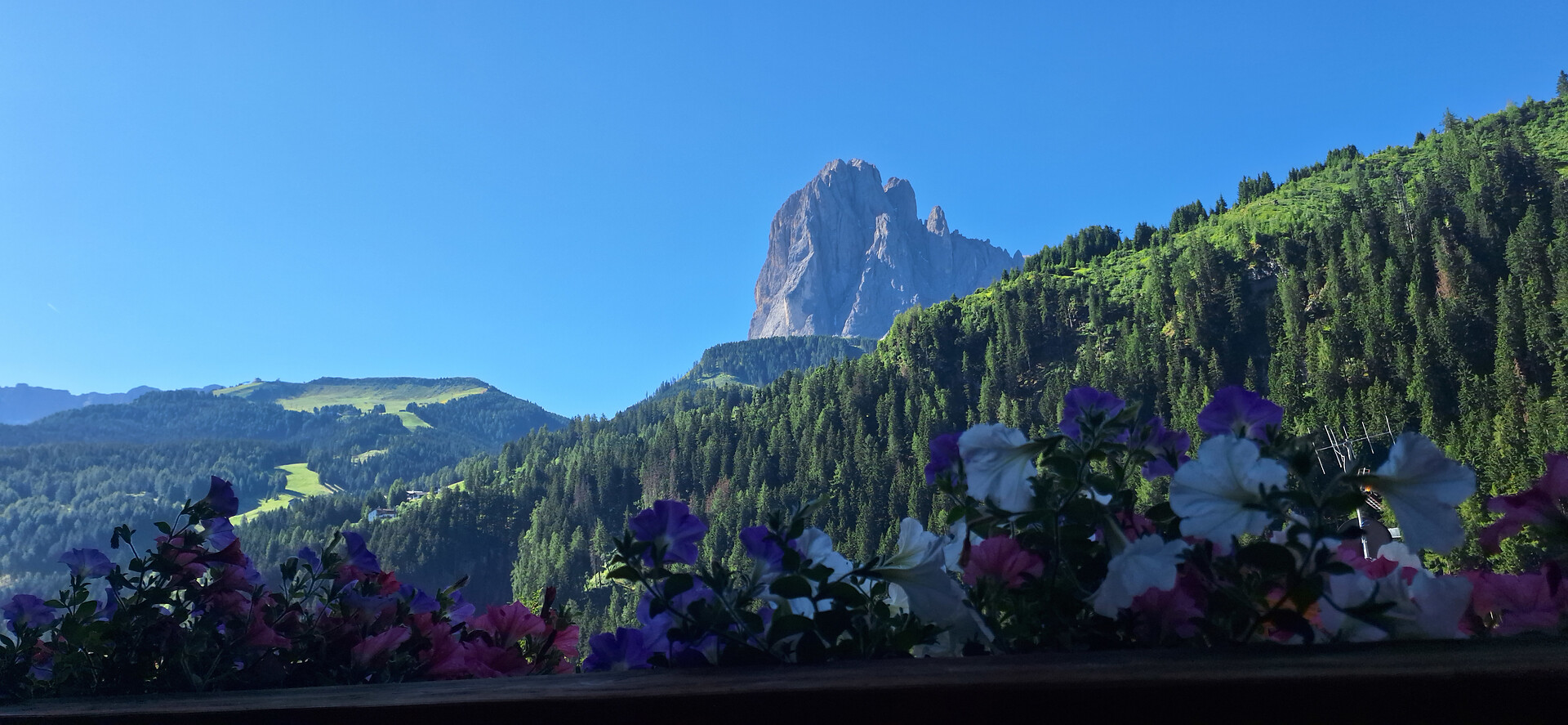 Apartments Insam - Dolomitenregion Gröden - #10 - suedtirol.info