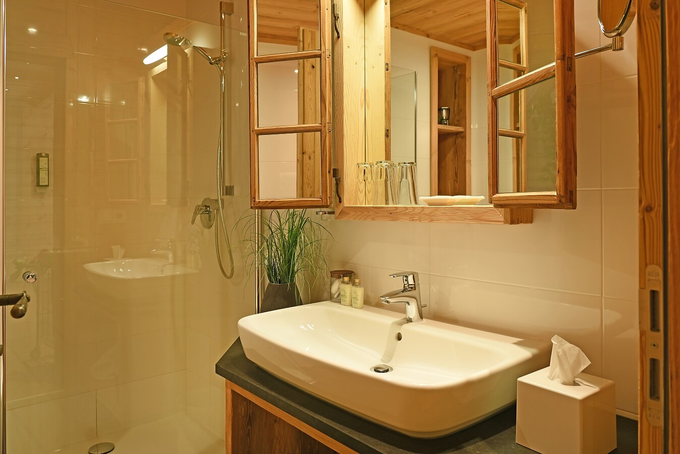 Badezimmer_Chalet Parterre 1