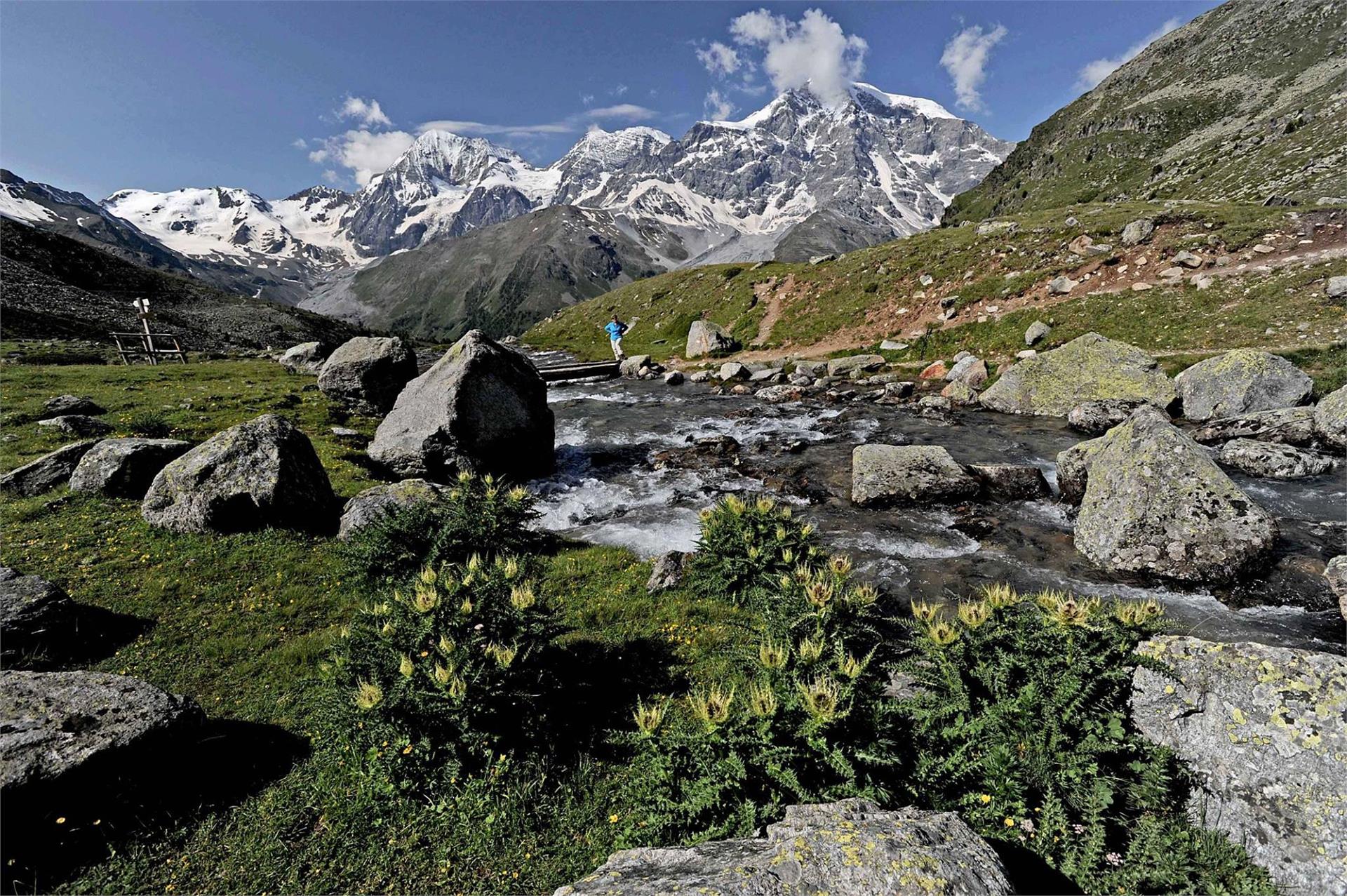 Alpin Spa Hotel die Post Stelvio 5 suedtirol.info