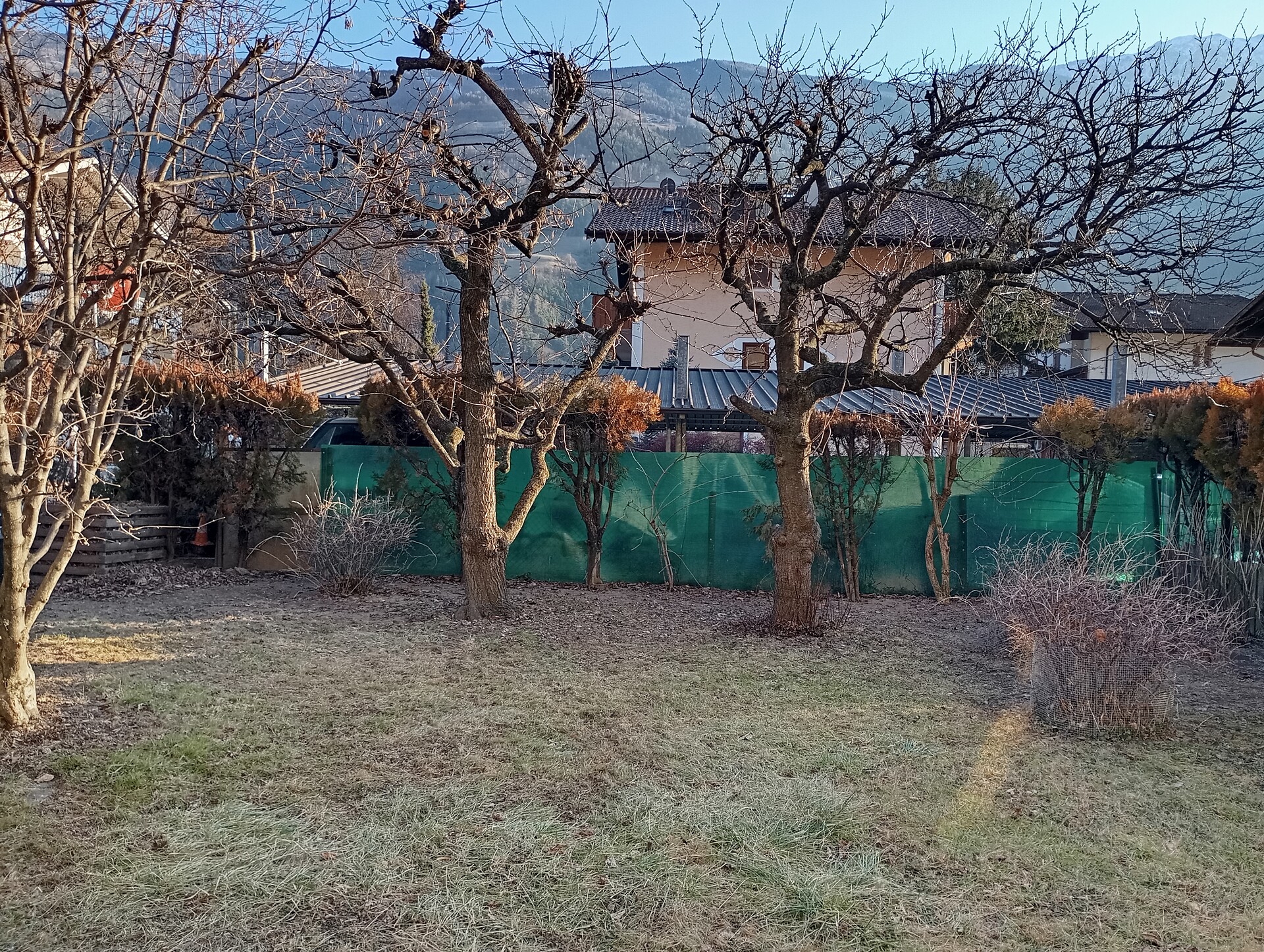 giardino in inverno senza la neve