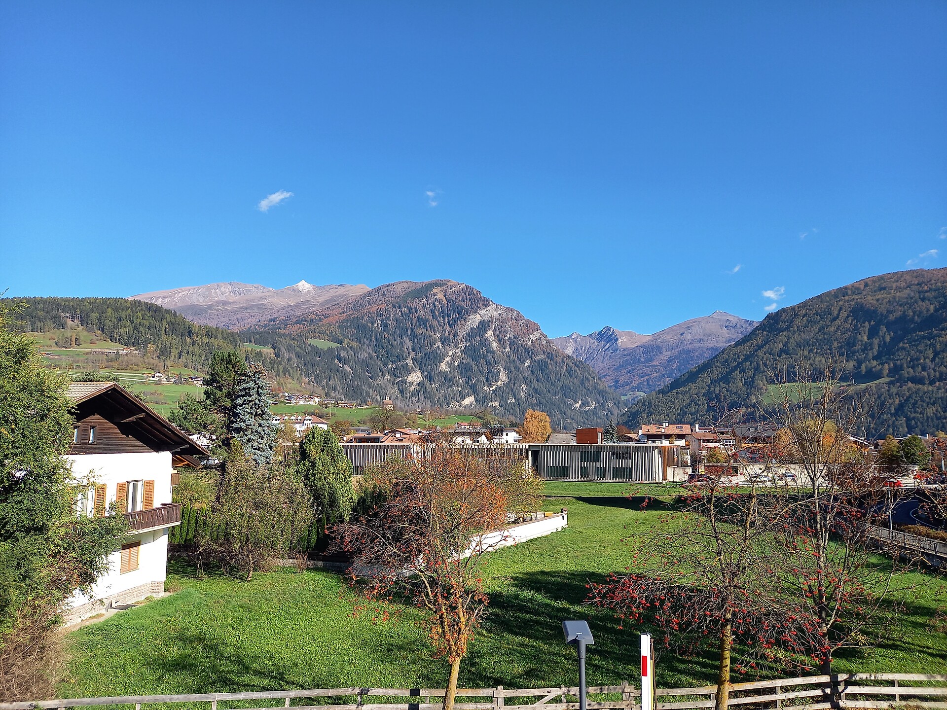 view