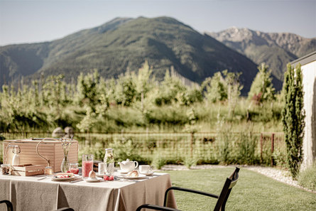 AMOLARIS PRIVATE GARDEN CHALETS & RESIDENCE Laces 8 suedtirol.info